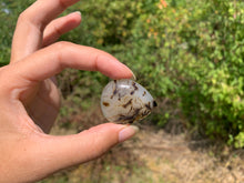 Charger l'image dans la galerie, Agate du Montana 7