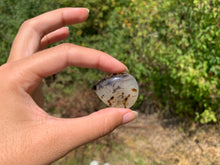 Charger l'image dans la galerie, Agate du Montana 7