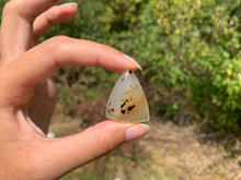 Charger l'image dans la galerie, Agate du Montana 8