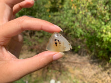 Charger l'image dans la galerie, Agate du Montana 8