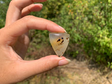 Charger l'image dans la galerie, Agate du Montana 8