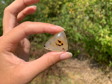Charger l'image dans la galerie, Agate du Montana 8