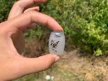 Charger l'image dans la galerie, VENDU Agate du Montana 10