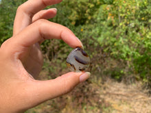 Charger l'image dans la galerie, Agate du Montana 11