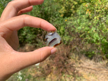 Charger l'image dans la galerie, Agate du Montana 11