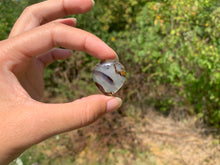 Charger l'image dans la galerie, Agate du Montana 11