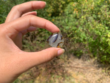 Charger l'image dans la galerie, Agate du Montana 11