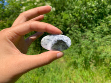 Charger l'image dans la galerie, VENDU Agate dendritique 35