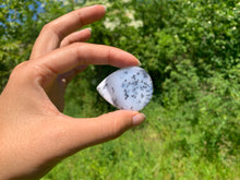 Charger l'image dans la galerie, Agate dendritique 36