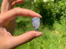 Charger l'image dans la galerie, Agate dendritique 39