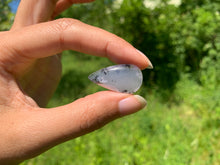 Charger l'image dans la galerie, Agate dendritique 39