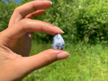 Charger l'image dans la galerie, VENDU Agate dendritique 42