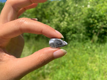 Charger l'image dans la galerie, VENDU Agate dendritique 44