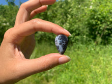 Charger l'image dans la galerie, VENDU Agate dendritique 45