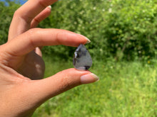 Charger l'image dans la galerie, Agate dendritique 49