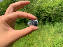 Charger l'image dans la galerie, VENDU Agate dendritique 50