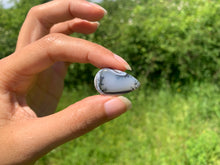 Charger l'image dans la galerie, VENDU Agate dendritique 52