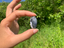 Charger l'image dans la galerie, VENDU Agate dendritique 57