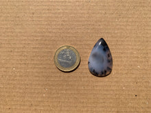 Charger l'image dans la galerie, VENDU Agate dendritique 58