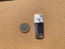 Charger l'image dans la galerie, VENDU Agate dendritique 68