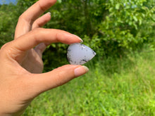 Charger l'image dans la galerie, Agate dendritique 69