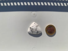 Charger l'image dans la galerie, Howlite 30