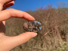 Charger l'image dans la galerie, Vulcanite 12