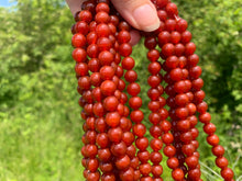 Charger l'image dans la galerie, Perles en cornaline / agate rouge entre 4 et 14mm CAD