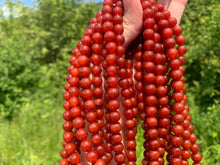 Charger l'image dans la galerie, Perles en cornaline / agate rouge entre 4 et 14mm CAD