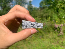 Charger l'image dans la galerie, Pinolite 23