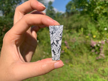 Charger l'image dans la galerie, Pinolite 23