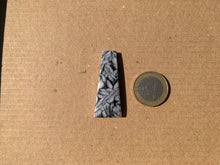 Charger l'image dans la galerie, Pinolite 23