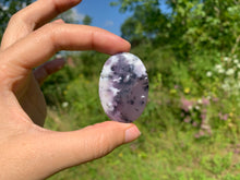 Charger l'image dans la galerie, Agate dendritique 73