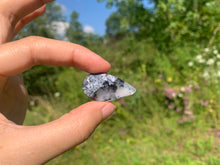 Charger l'image dans la galerie, Agate dendritique 76