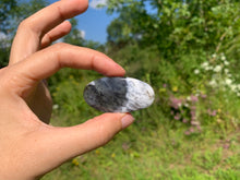 Charger l'image dans la galerie, Agate dendritique 77