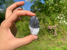 Charger l'image dans la galerie, Agate dendritique 77