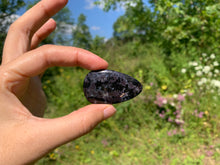 Charger l'image dans la galerie, Gabbro 3