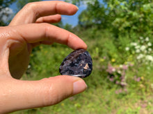 Charger l'image dans la galerie, Gabbro 3