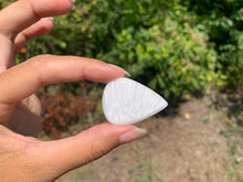 Charger l'image dans la galerie, Scolécite 31