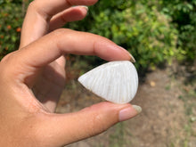 Charger l'image dans la galerie, Scolécite 31