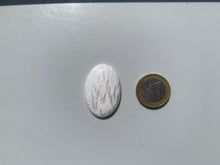 Charger l'image dans la galerie, Scolécite 33