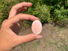 Charger l'image dans la galerie, Scolécite 36