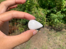 Charger l'image dans la galerie, Scolécite 38