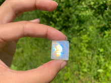 Charger l'image dans la galerie, Labradorite "blanche" d'Inde 19