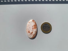 Charger l'image dans la galerie, Scolécite 44