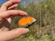 Charger l'image dans la galerie, VENDU Labradorite 275