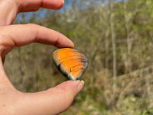 Charger l'image dans la galerie, VENDU Labradorite 275