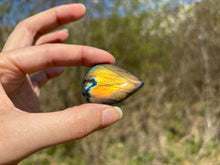 Charger l'image dans la galerie, Labradorite 288