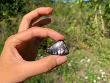 Charger l'image dans la galerie, Hypertshène 22