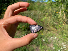 Charger l'image dans la galerie, Hypertshène 22